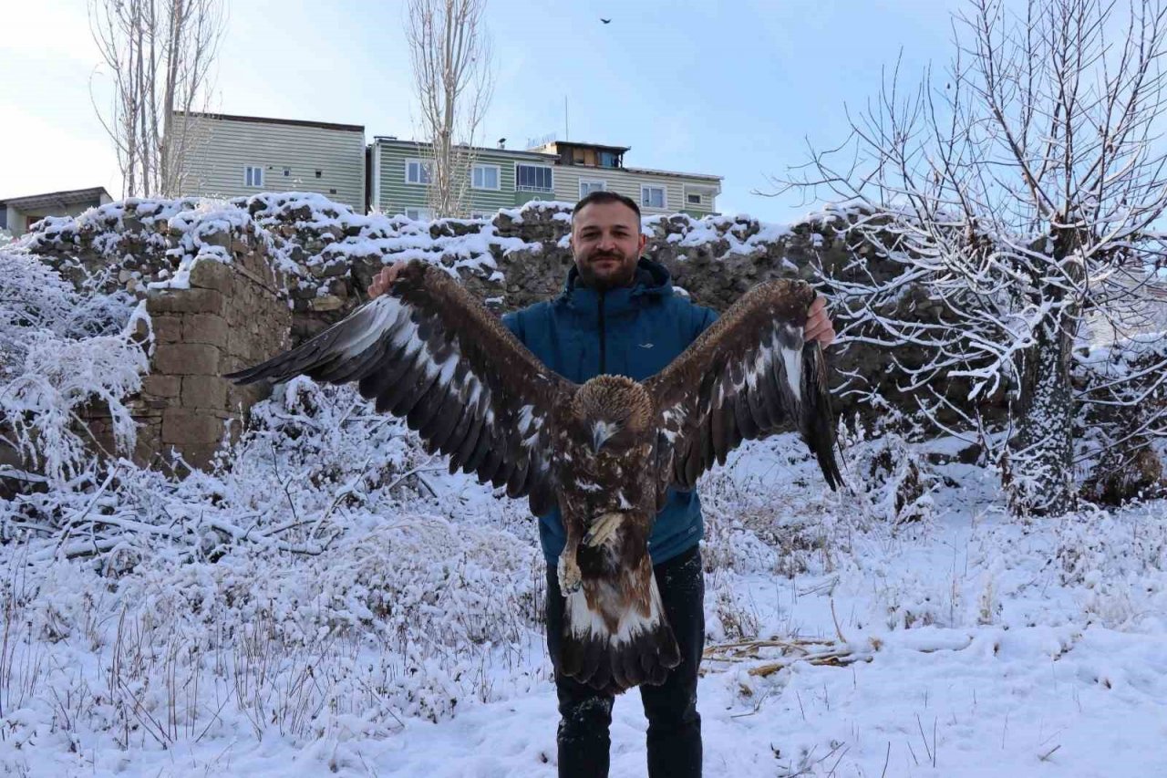 Uçamayan kartalı arabasına alıp tedavi için ilçeye getirdi