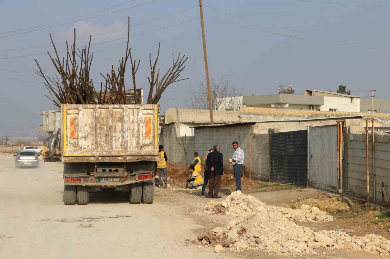 Farklı bölgelerde ağaçlandırma çalışması yapılıyor