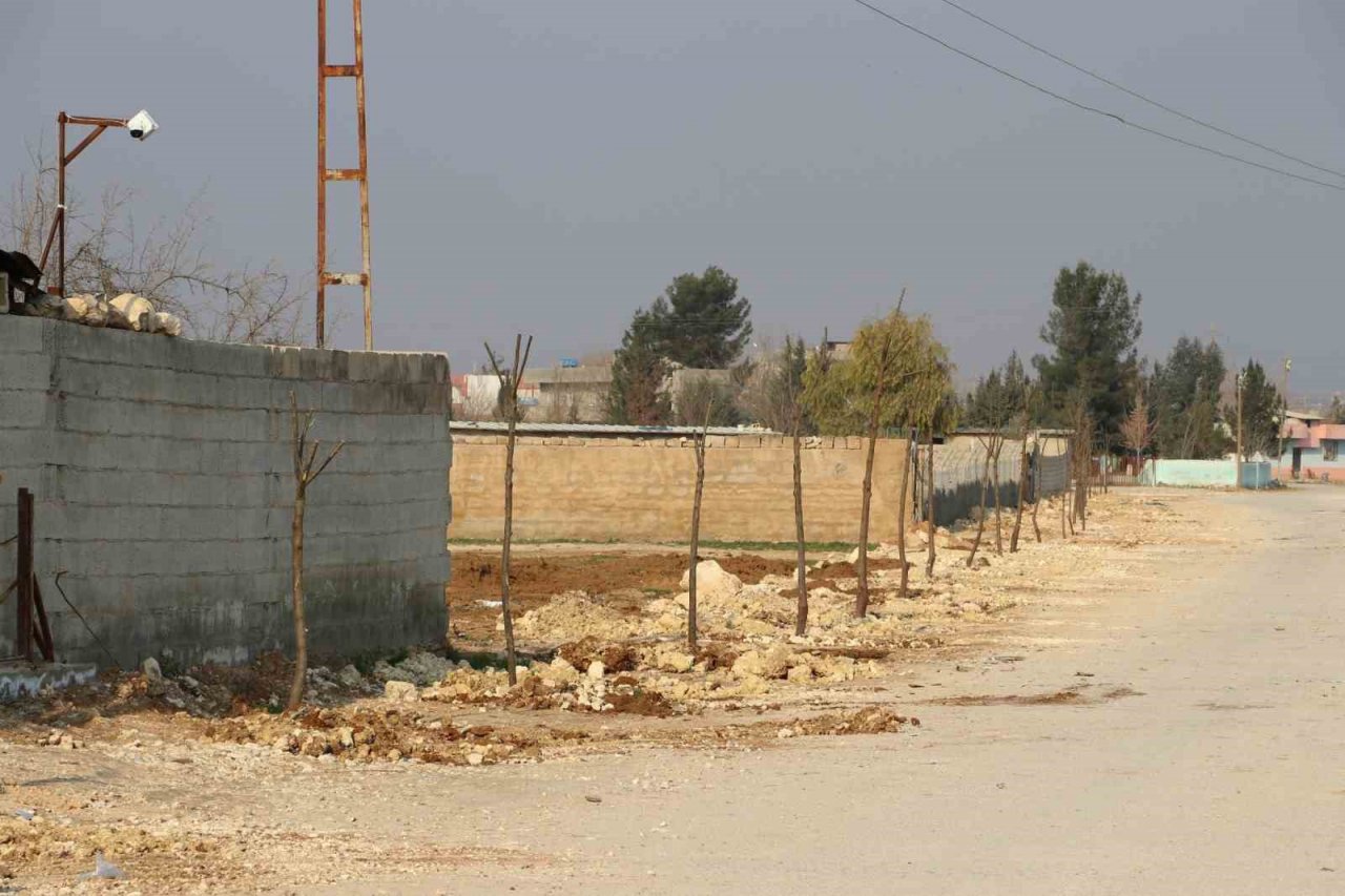 Farklı bölgelerde ağaçlandırma çalışması yapılıyor