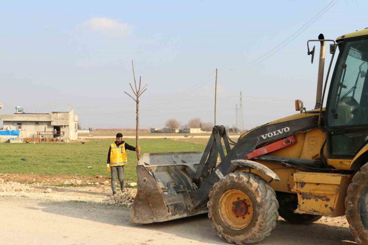 Farklı bölgelerde ağaçlandırma çalışması yapılıyor