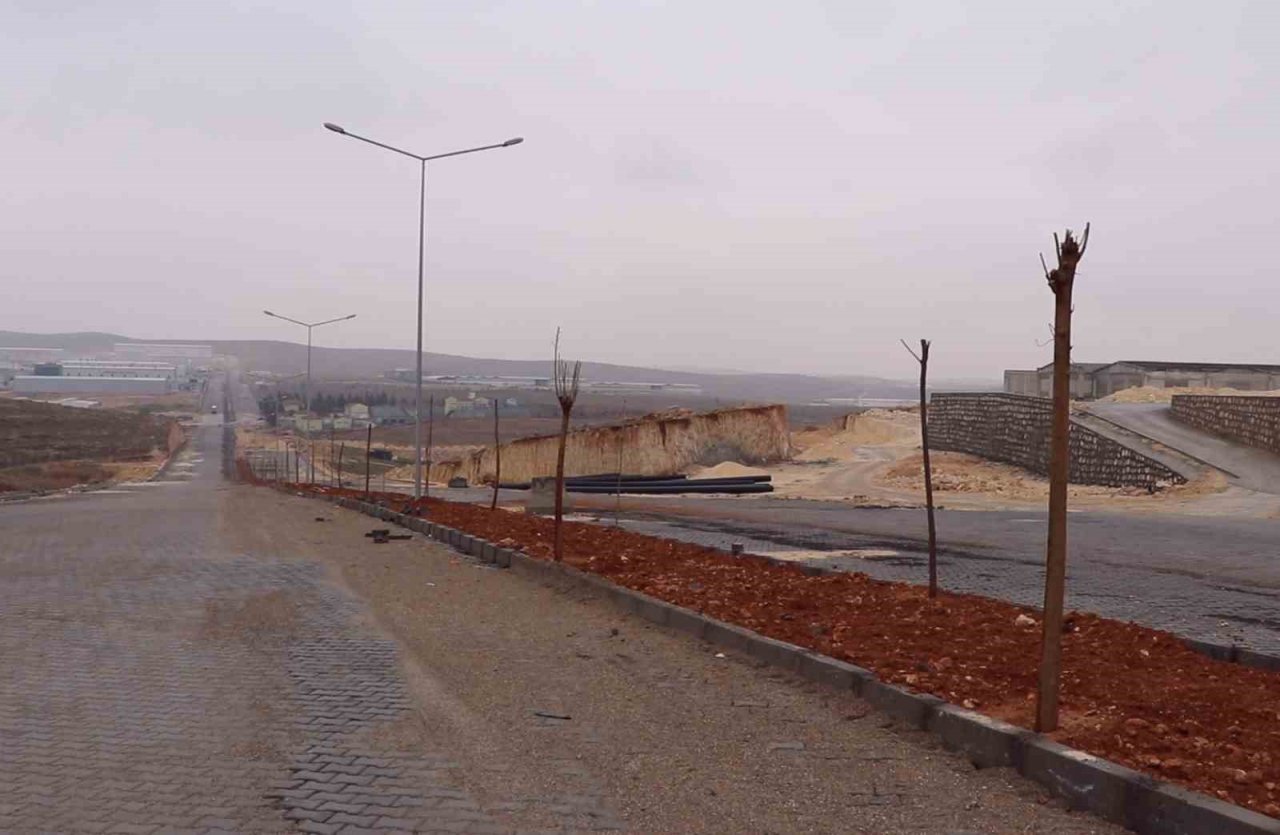 Farklı bölgelerde ağaçlandırma çalışması yapılıyor