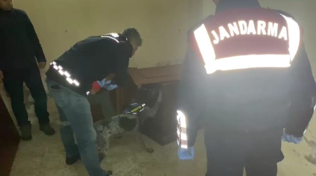 İzmir’de zehir tacirlerine ‘kökünü kurutma operasyonu: 59 gözaltı