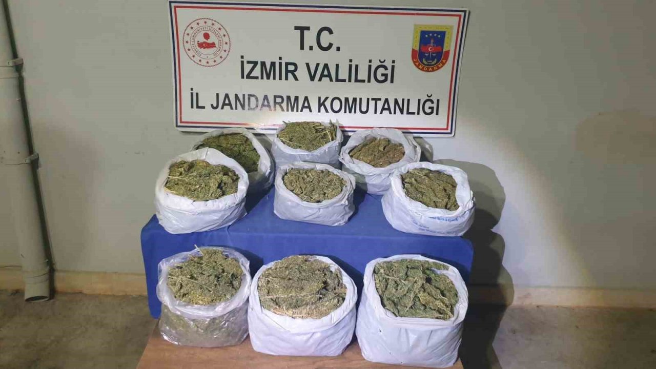 İzmir’de zehir tacirlerine ‘kökünü kurutma operasyonu: 59 gözaltı