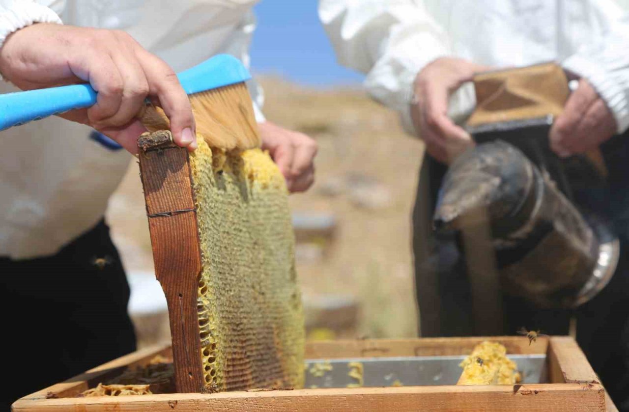 Doğal bal da ’TA’ damgası yol gösterici olacak