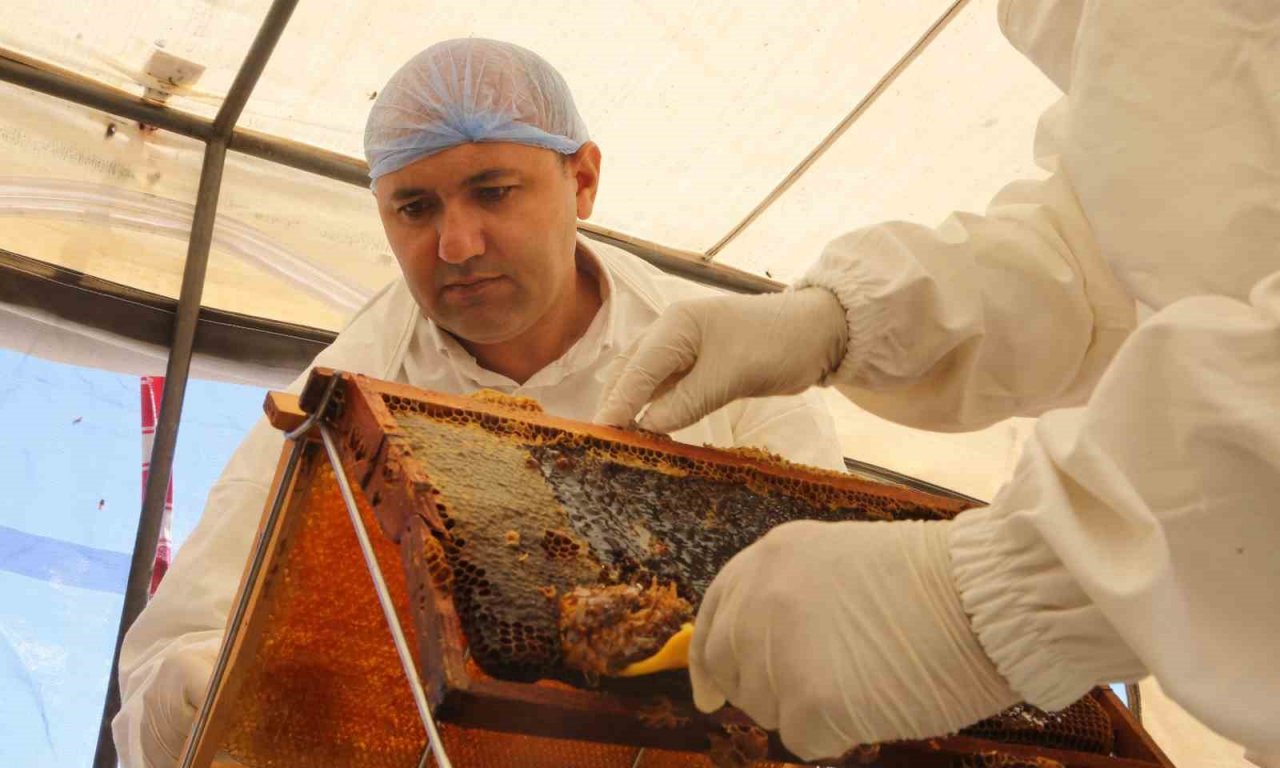 Doğal bal da ’TA’ damgası yol gösterici olacak