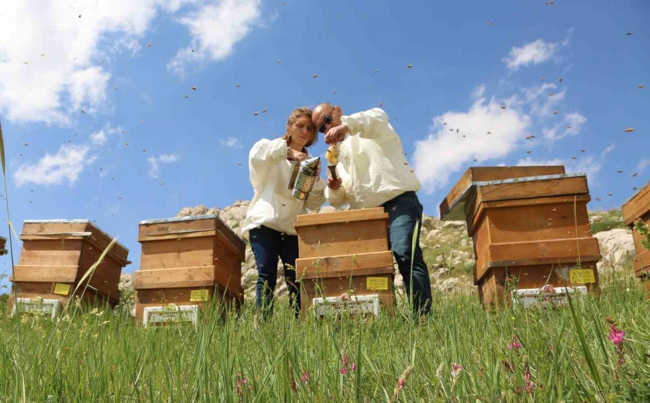 Doğal bal da ’TA’ damgası yol gösterici olacak