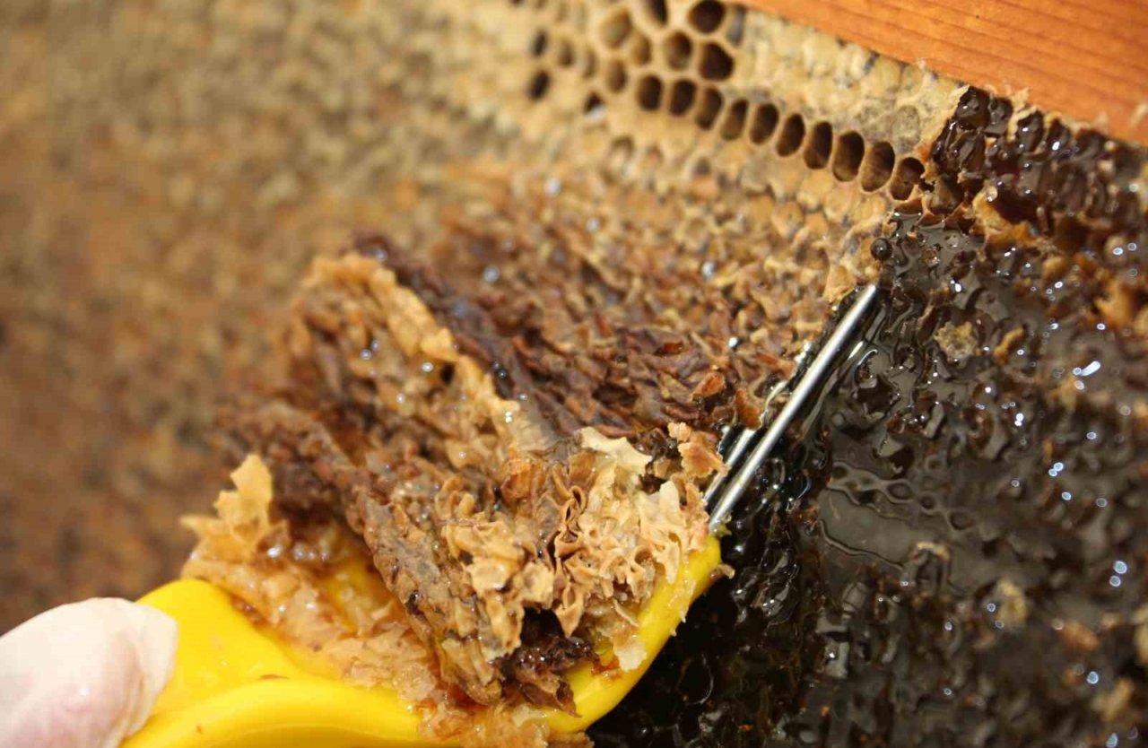 Doğal bal da ’TA’ damgası yol gösterici olacak