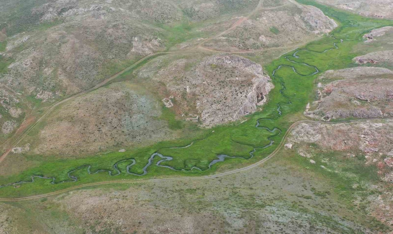 Doğal bal da ’TA’ damgası yol gösterici olacak