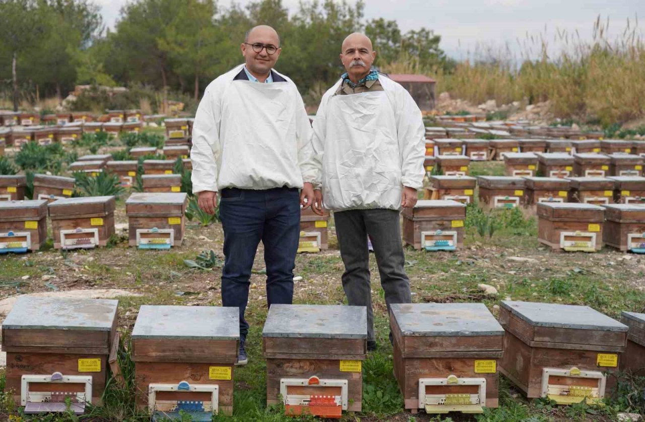 Doğal bal da ’TA’ damgası yol gösterici olacak