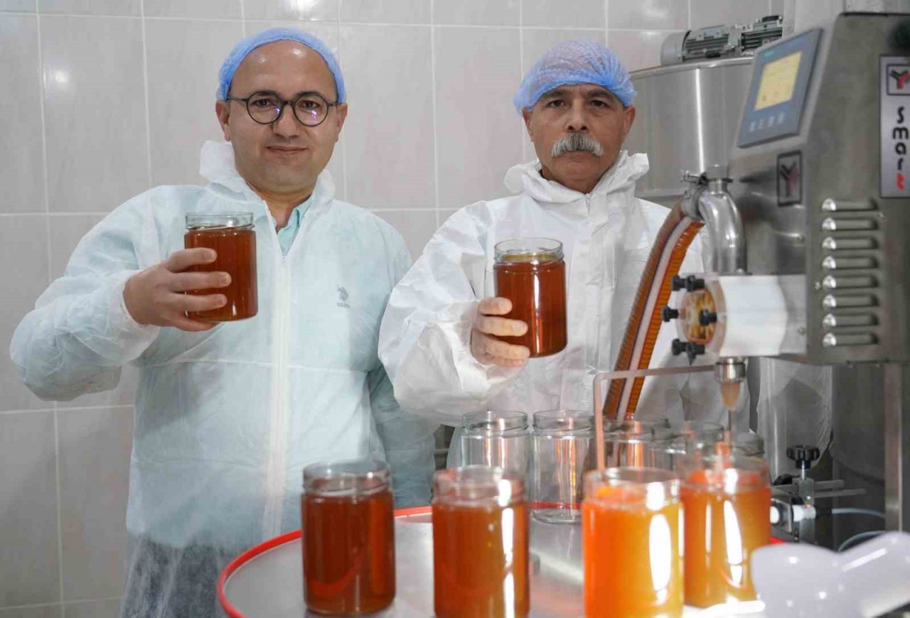 Doğal bal da ’TA’ damgası yol gösterici olacak