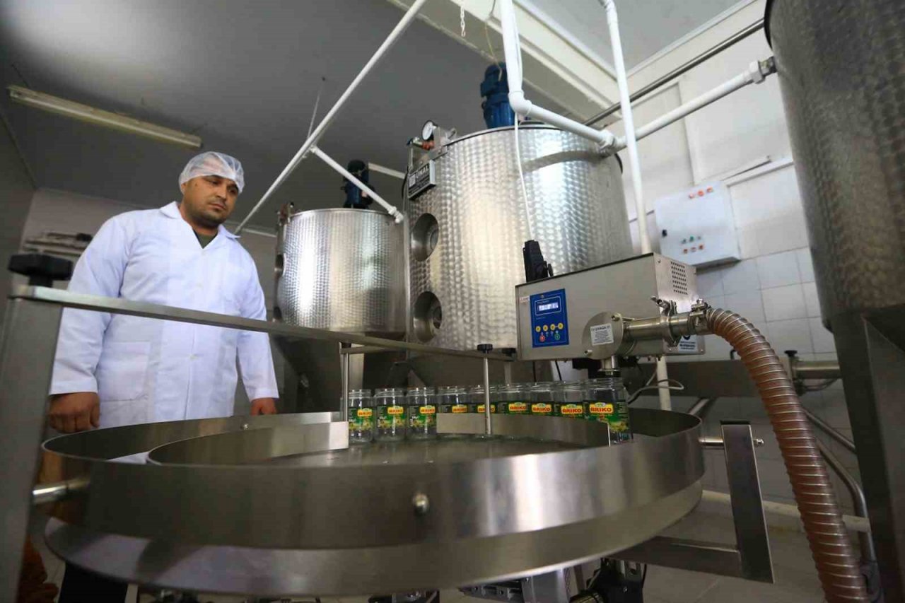 Muğlalı bal üreticisine Büyükşehir’den destek