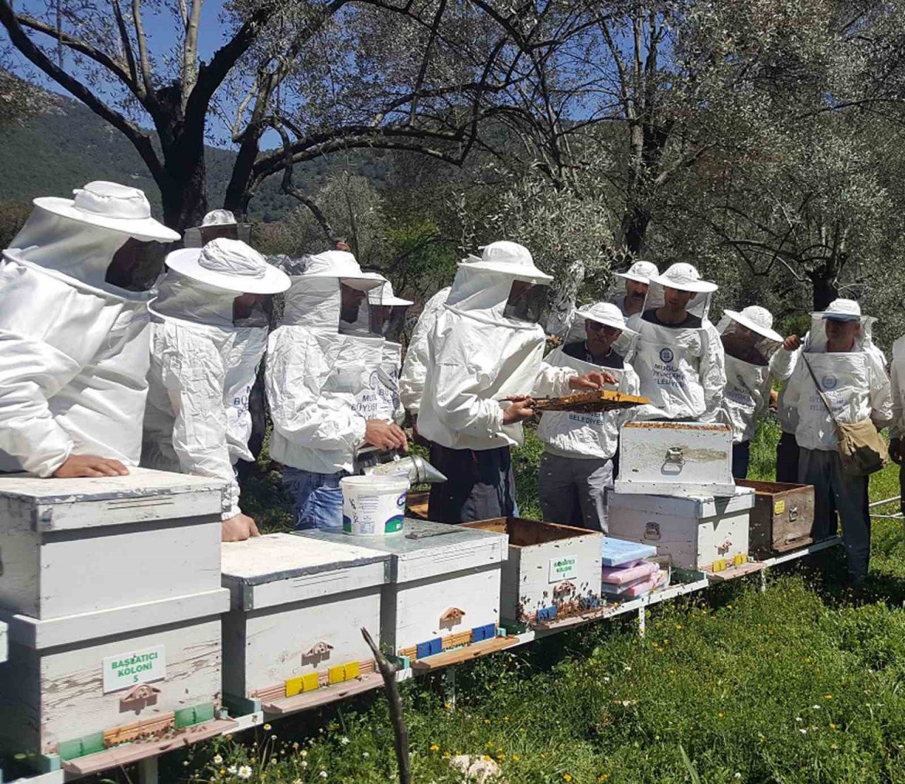 Muğlalı bal üreticisine Büyükşehir’den destek