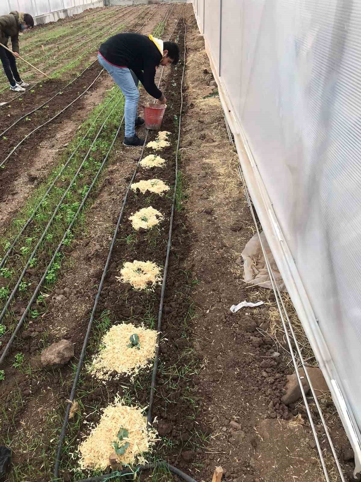 DAP BKİ bu yıl bölgede 130 projeyi 213 milyon lira ile destekleyecek