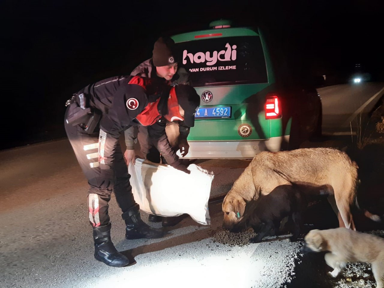 Havaların soğuduğu Uşak’ta sokak canlıları unutulmadı