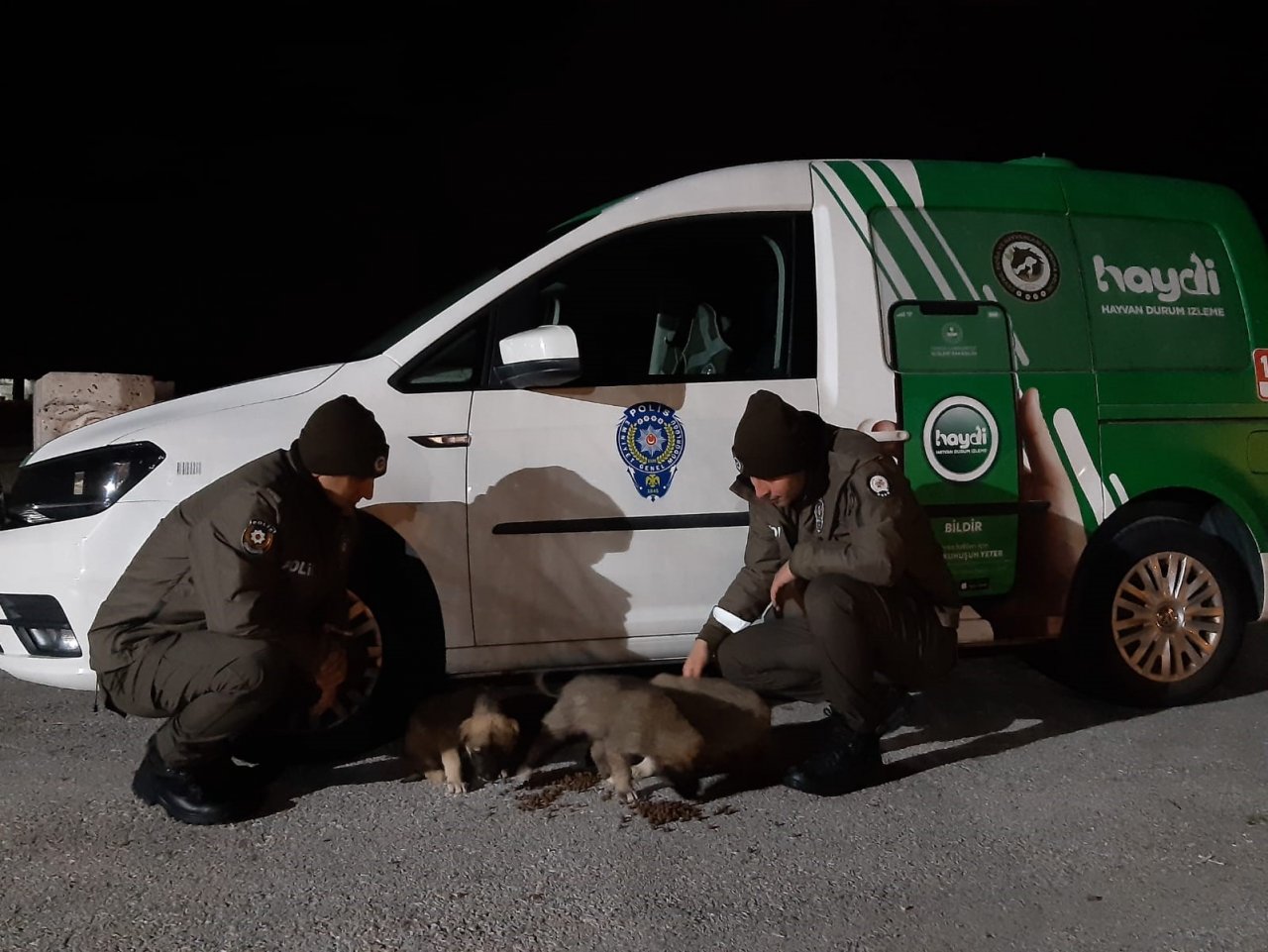 Havaların soğuduğu Uşak’ta sokak canlıları unutulmadı
