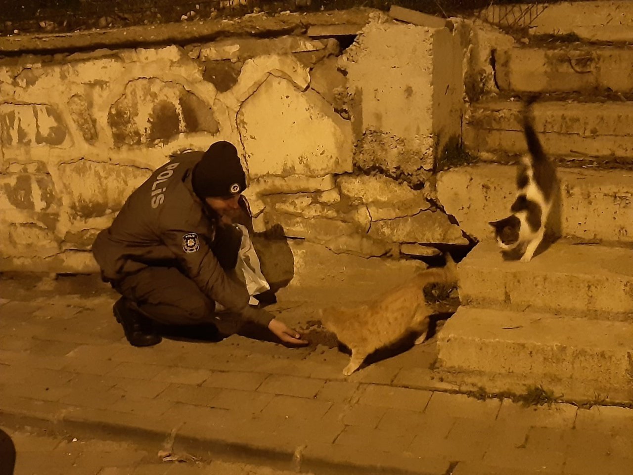 Havaların soğuduğu Uşak’ta sokak canlıları unutulmadı