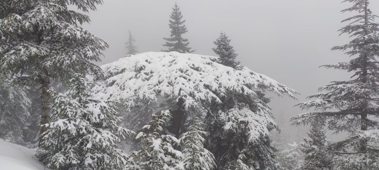 Yavşan Yaylası’ndan kar manzaraları