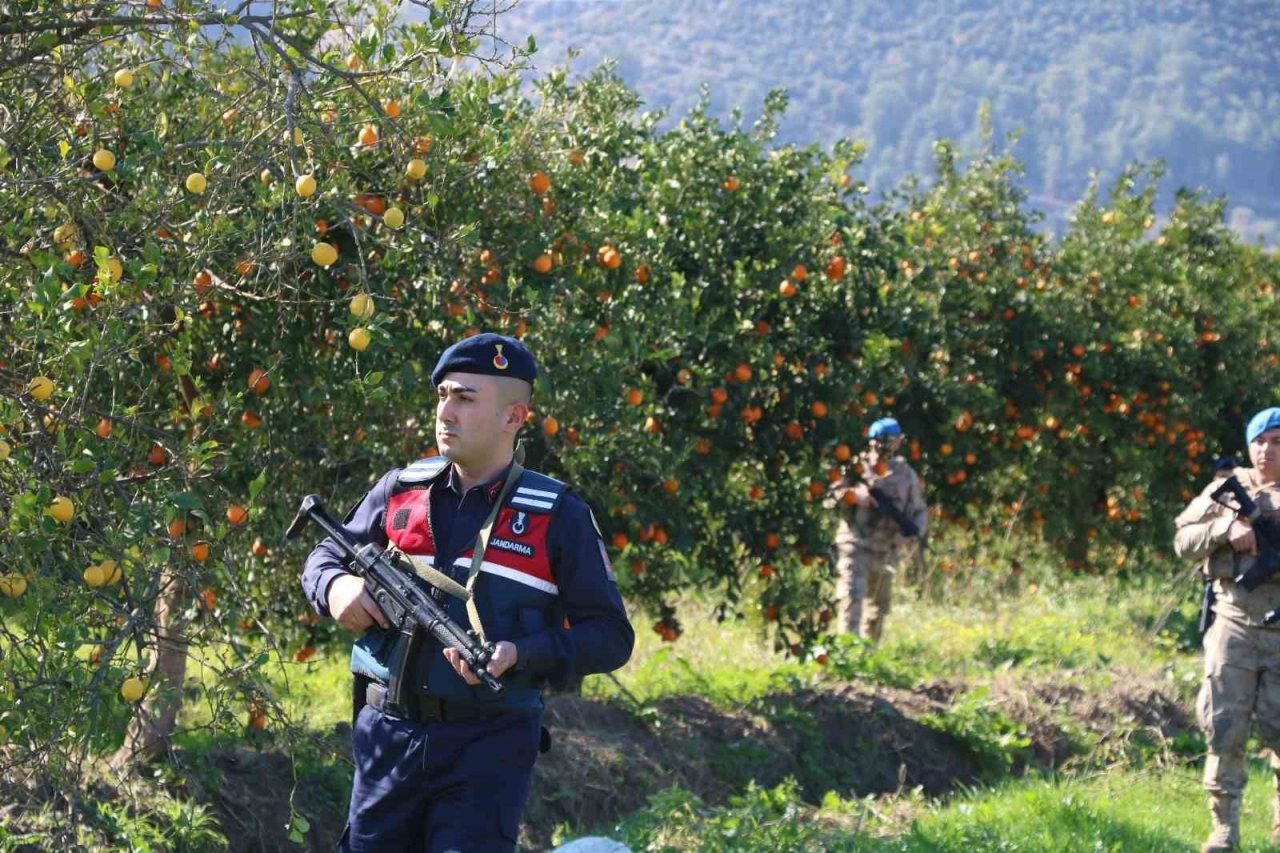 Jandarma komandolar narenciye hırsızları için nöbette