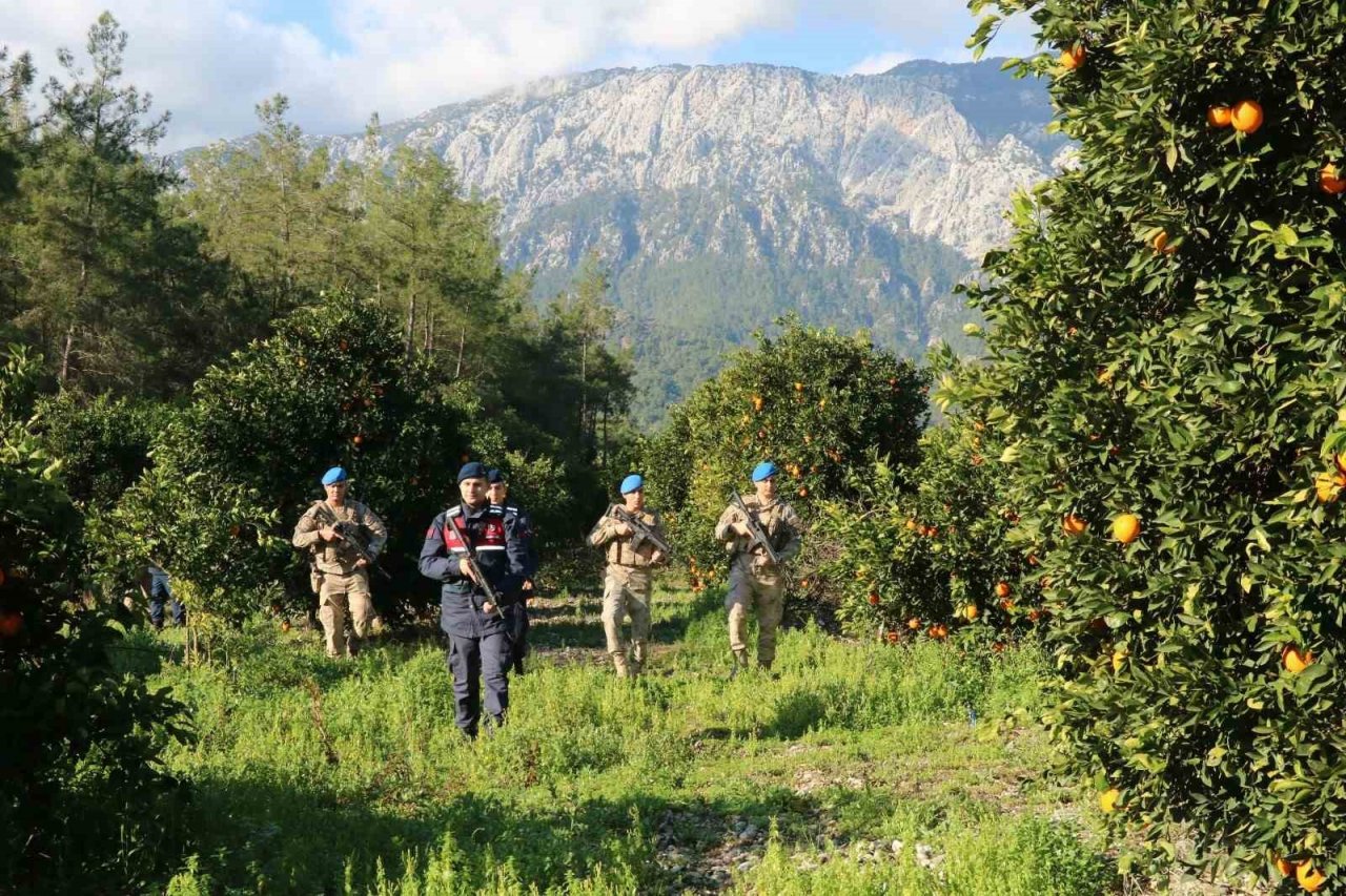 Jandarma komandolar narenciye hırsızları için nöbette