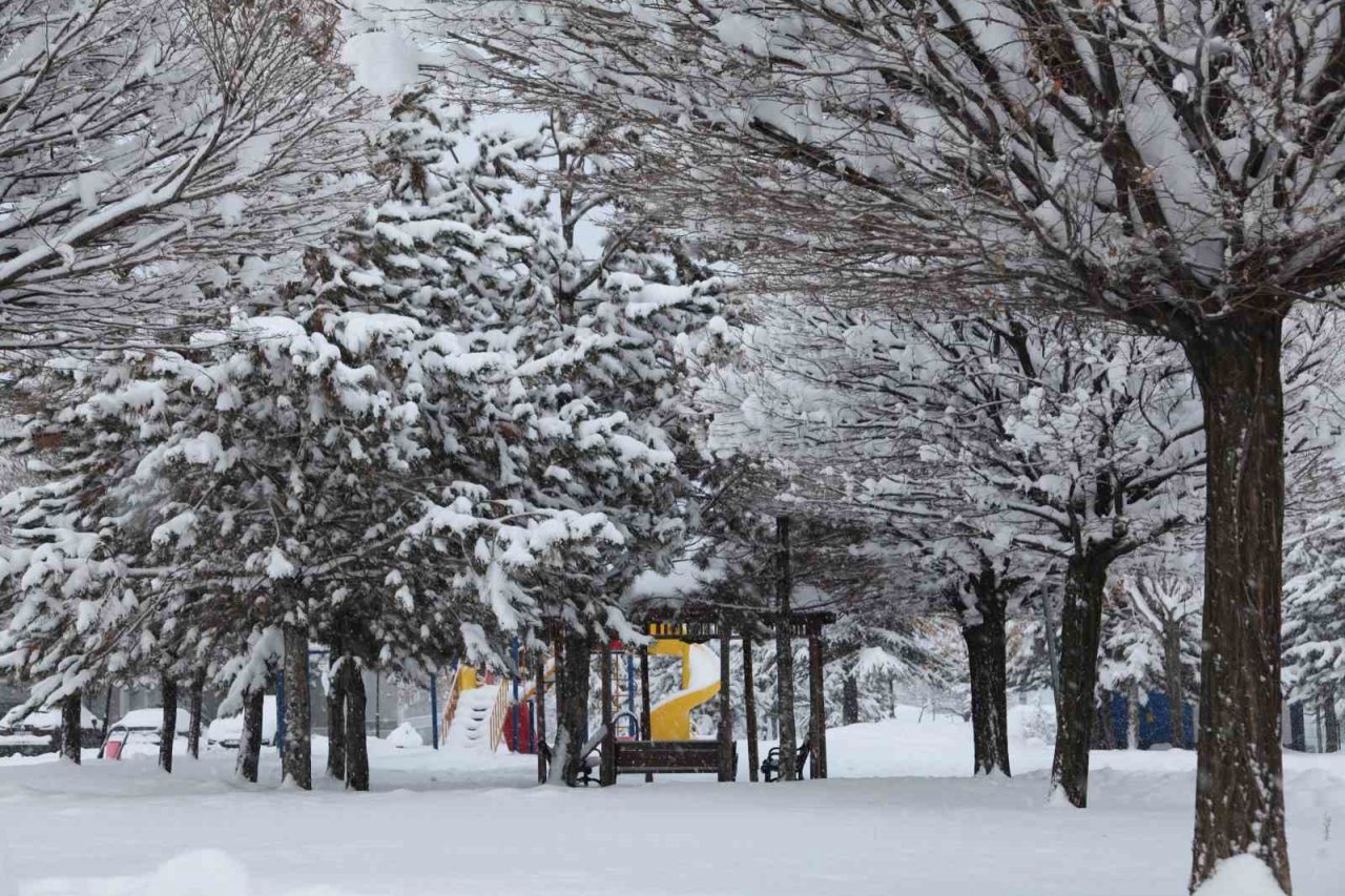 Ahlat’ta yoğun kar yağışı etkisini sürdürüyor