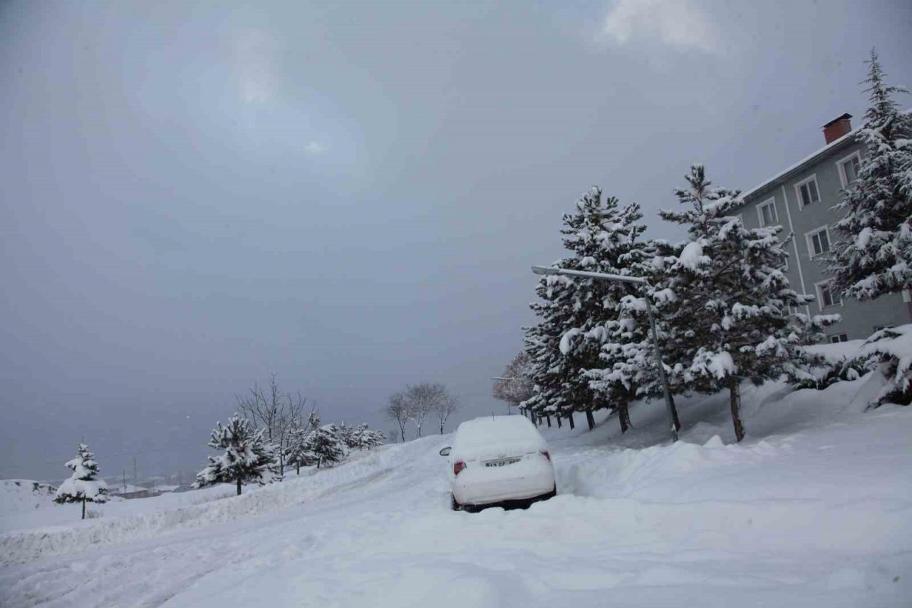 Ahlat’ta yoğun kar yağışı etkisini sürdürüyor