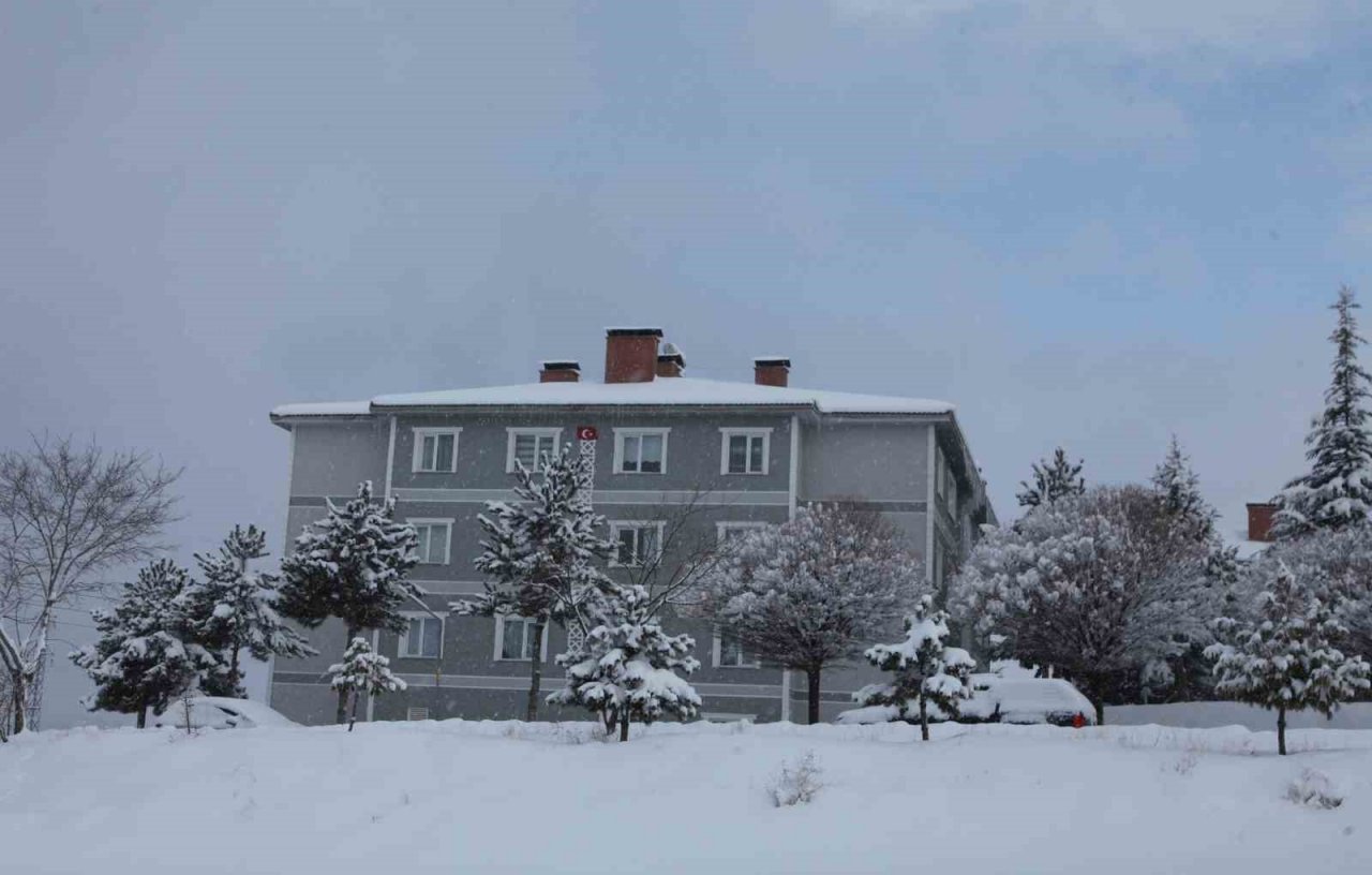 Ahlat’ta yoğun kar yağışı etkisini sürdürüyor