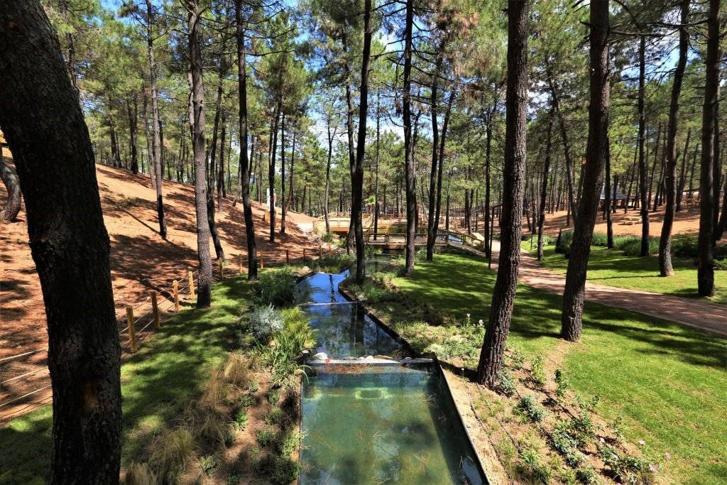 Cumhurbaşkanı Recep Tayyip Erdoğan Sultanbeyli’de açılışlar gerçekleştirecek