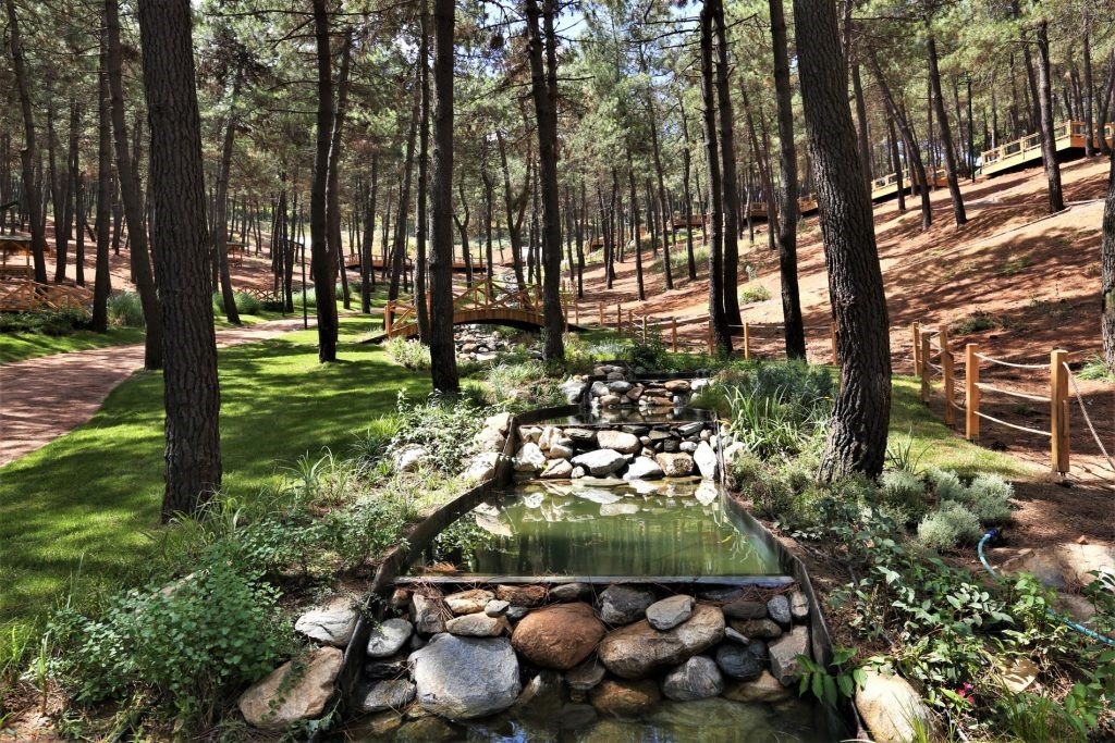 Cumhurbaşkanı Recep Tayyip Erdoğan Sultanbeyli’de açılışlar gerçekleştirecek