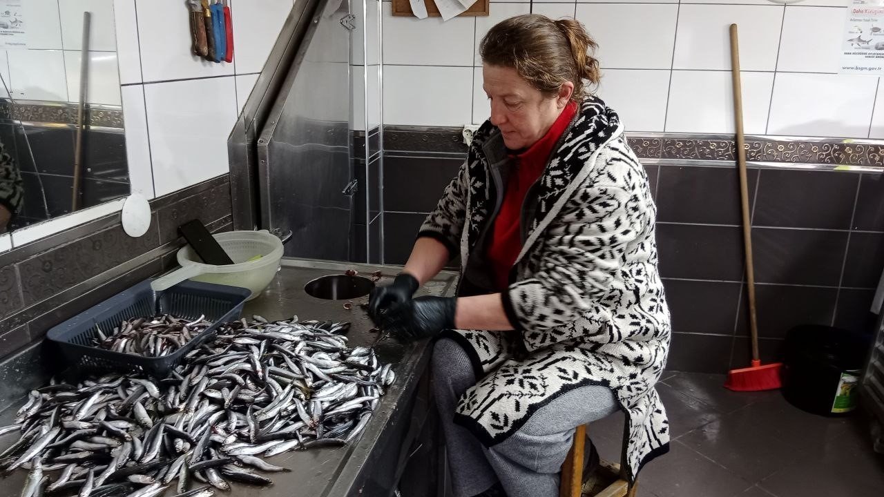 Akçakoca’da balıkçılar balık azlığından dertli