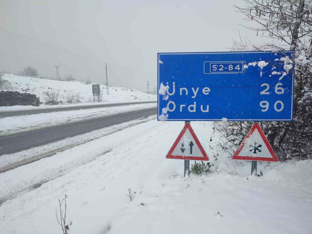 Ordu’da karla mücadele başladı