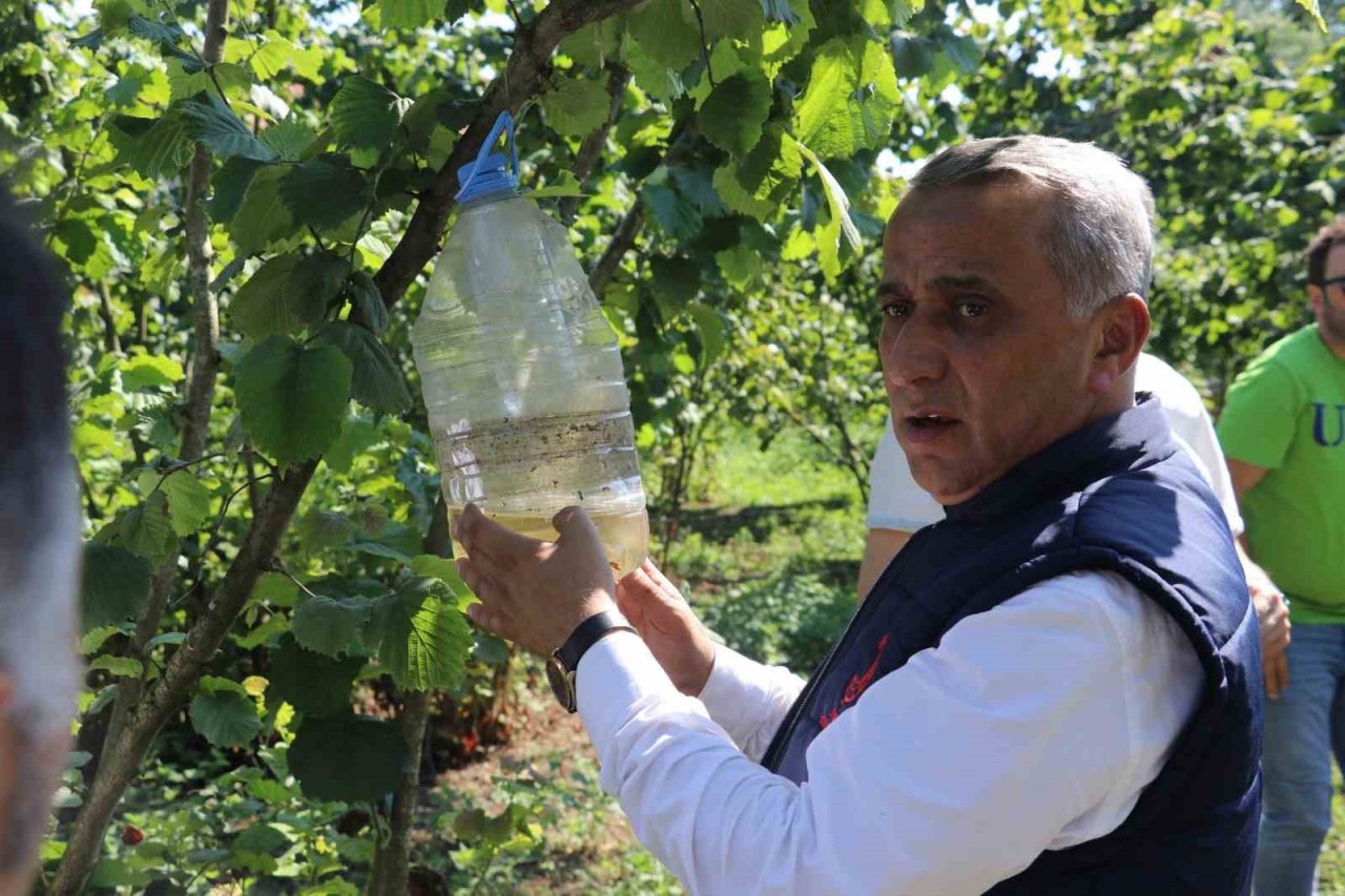 Samsun’un bitkileri zararlılardan korunuyor