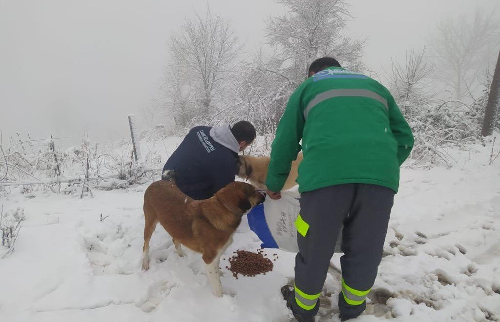 Canik’te karla mücadele