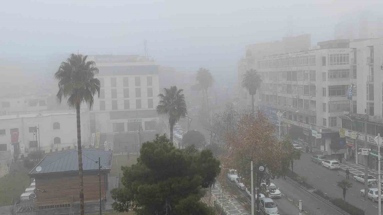 Şanlıurfa’da yoğun sis etkili oldu