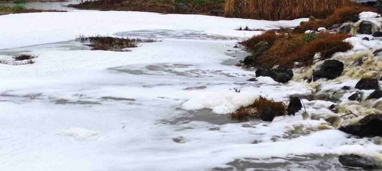 Uluabat Gölü’ne akan derelerde "beyaz köpük” paniği