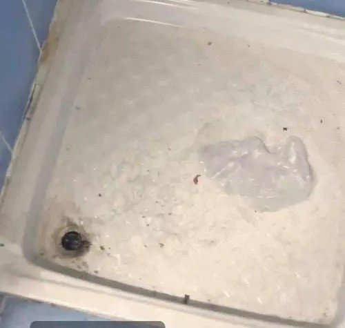 İl Kültür Müdürü Tuncer, ’kirli tuvaletlerden dolayı’ özür dilemek için 1200 km yol gitti