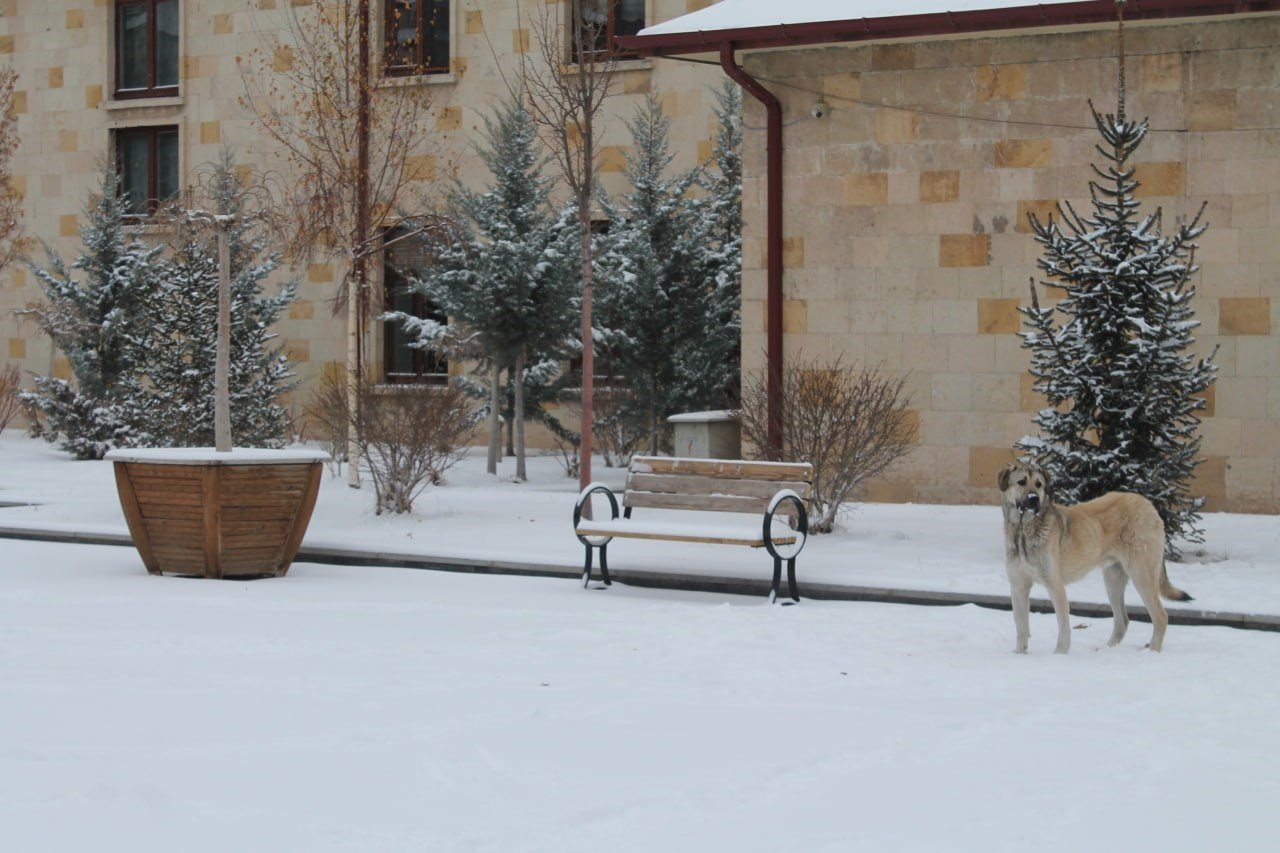 Bayburt’ta beklenen kar dondurucu soğukla birlikte geri geldi