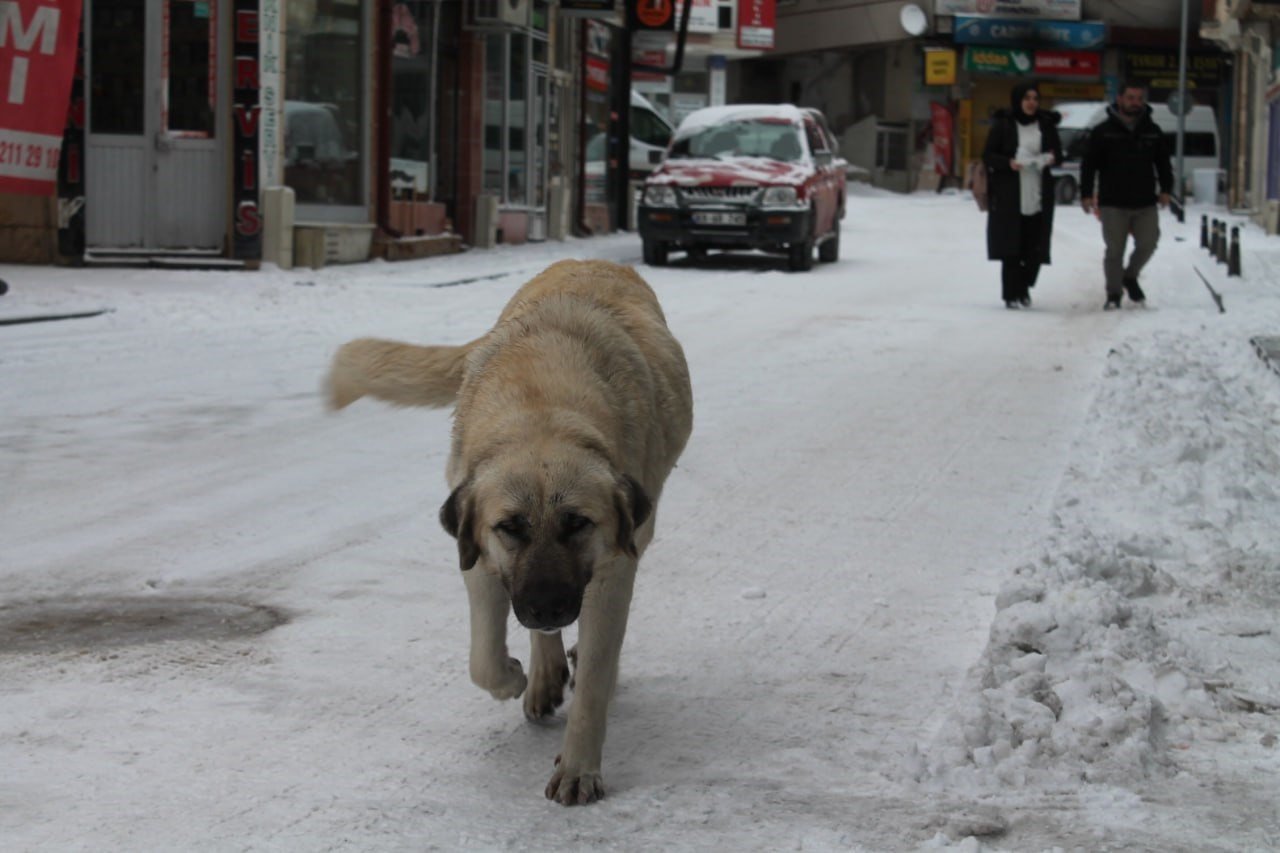 Bayburt’ta beklenen kar dondurucu soğukla birlikte geri geldi