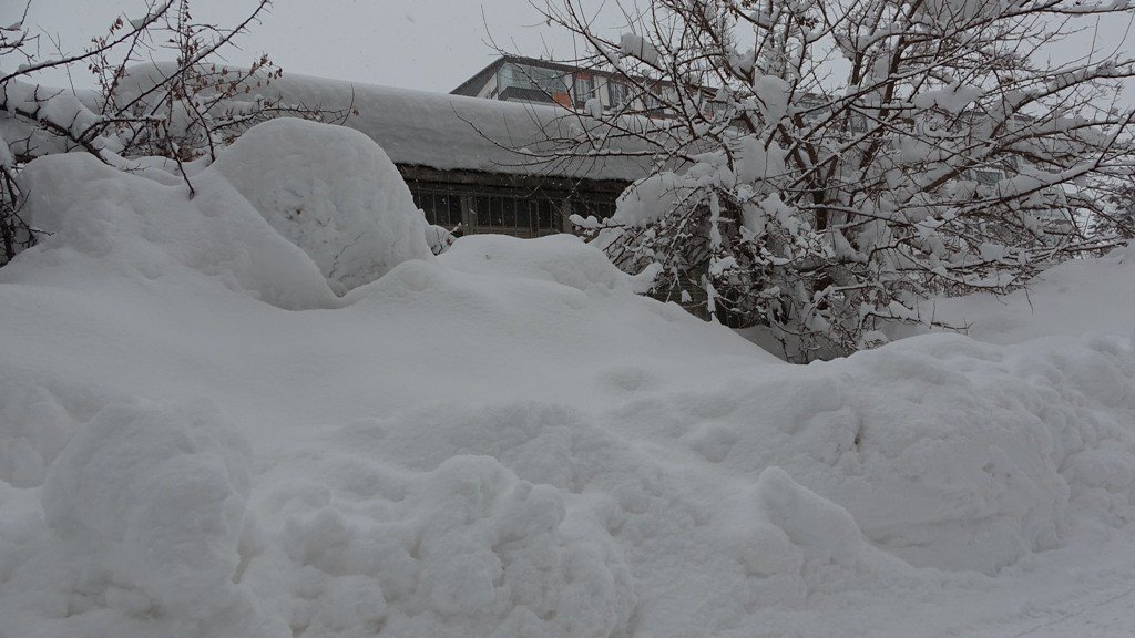 Bitlis’te tek katlı evler kara gömüldü