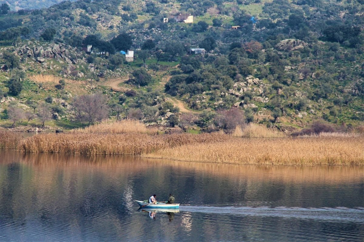Aydın’ın sulak alanları, yaban hayatına kucak açıyor