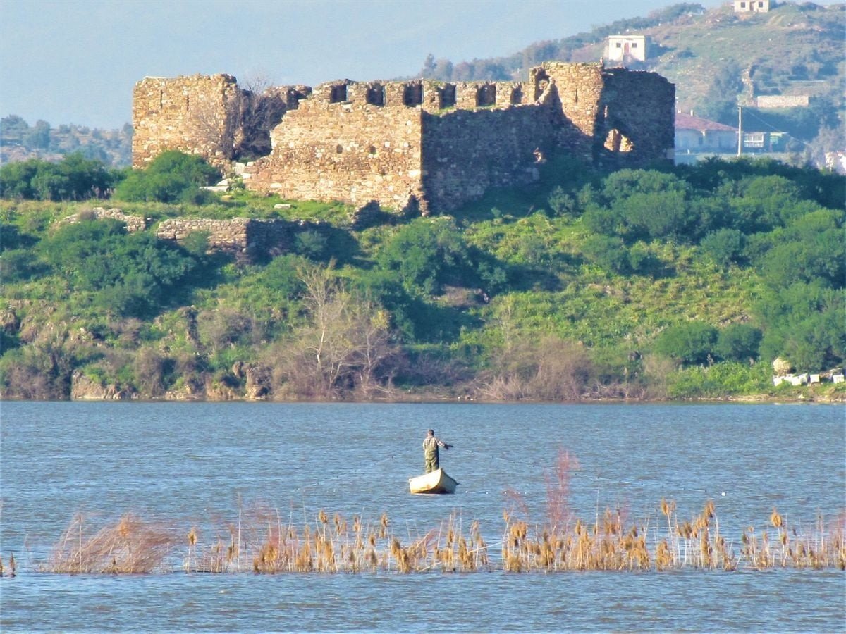 Aydın’ın sulak alanları, yaban hayatına kucak açıyor