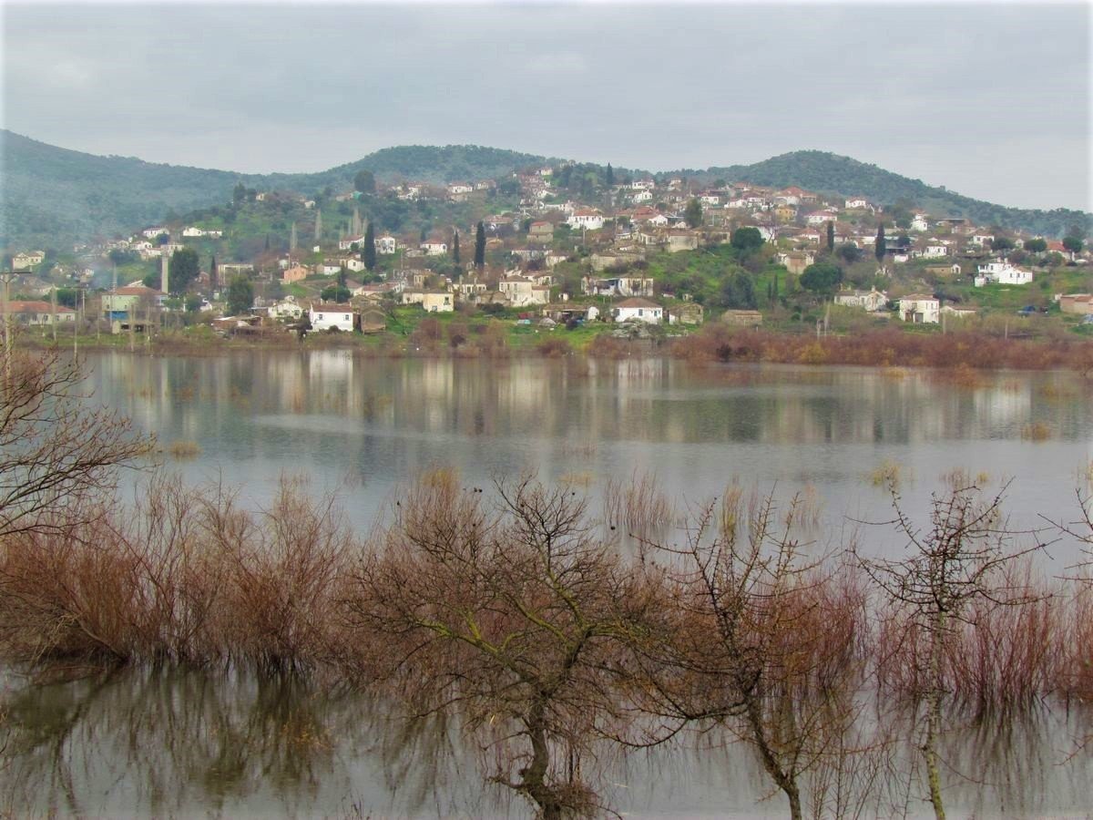 Aydın’ın sulak alanları, yaban hayatına kucak açıyor