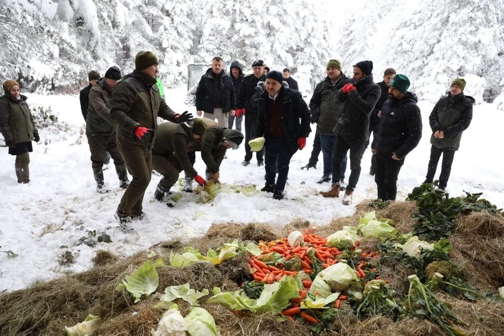 Yem bulmakta zorlanan yaban hayvanlarına yem bıraktılar