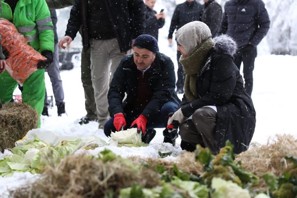 Yem bulmakta zorlanan yaban hayvanlarına yem bıraktılar