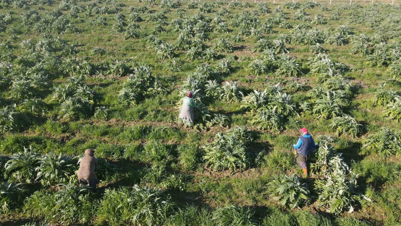 Efeler’in enginarlarına soğuk hava önlemi