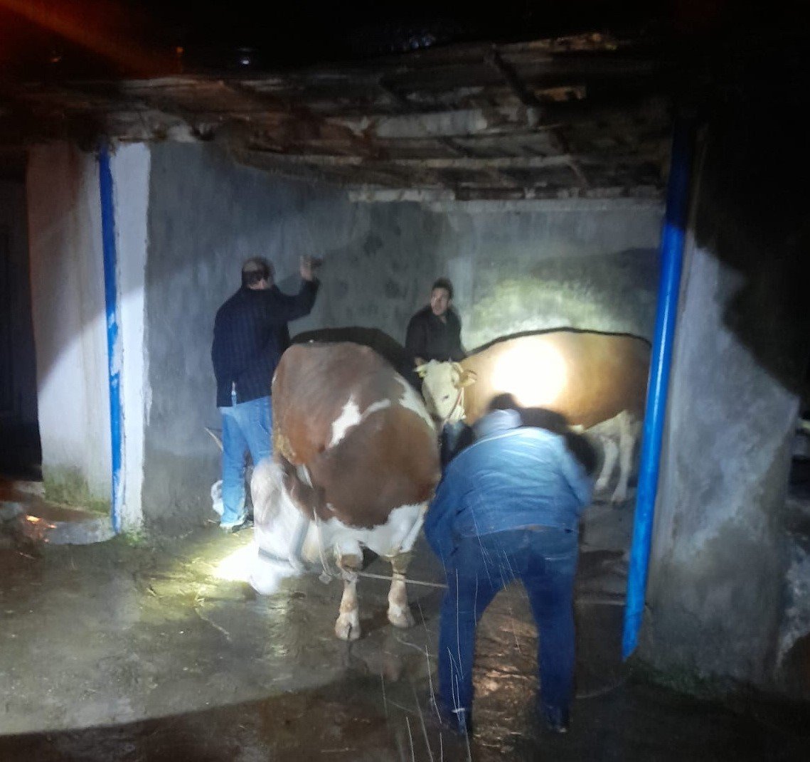 Yağışlara dayanamayan ev ve ahır çöktü