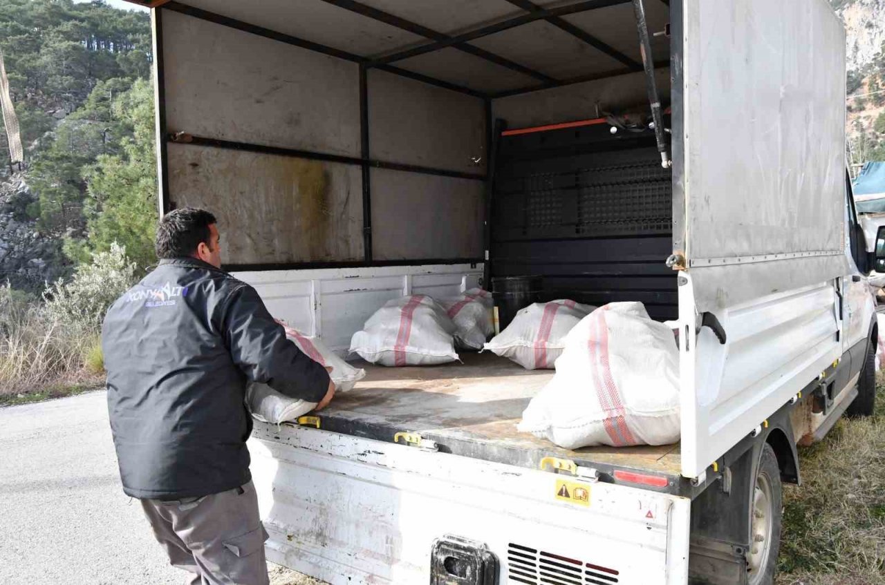 Sera üreticilerine ücretsiz yakıt desteği