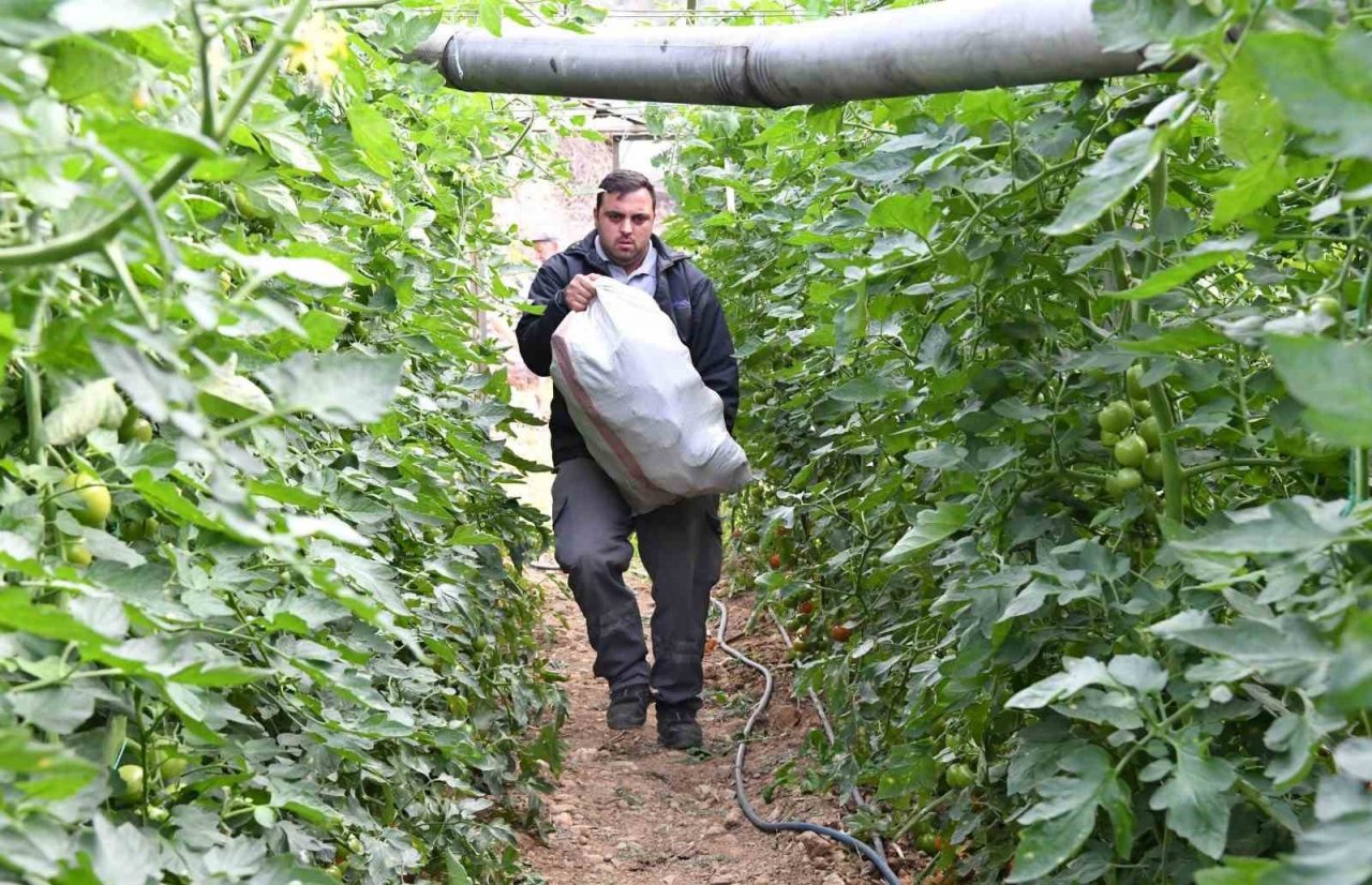Sera üreticilerine ücretsiz yakıt desteği