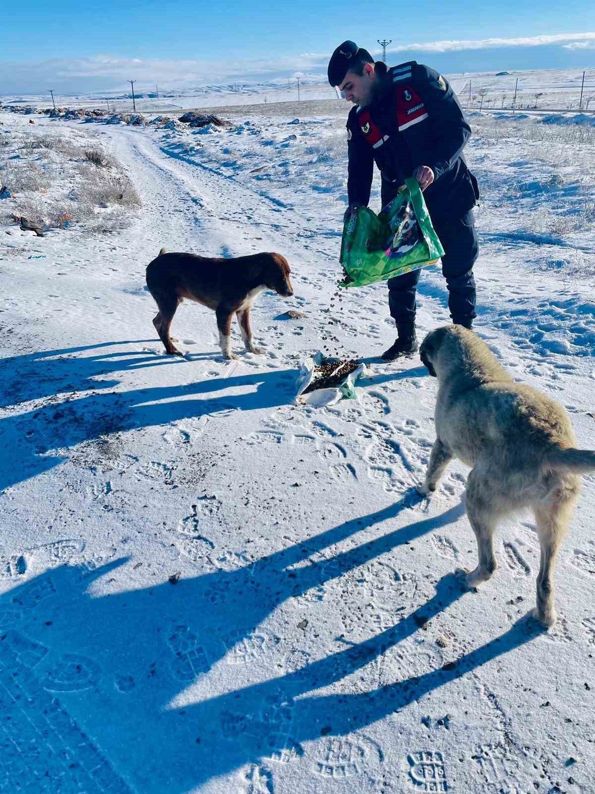 Jandarma, can dostlarını unutmadı
