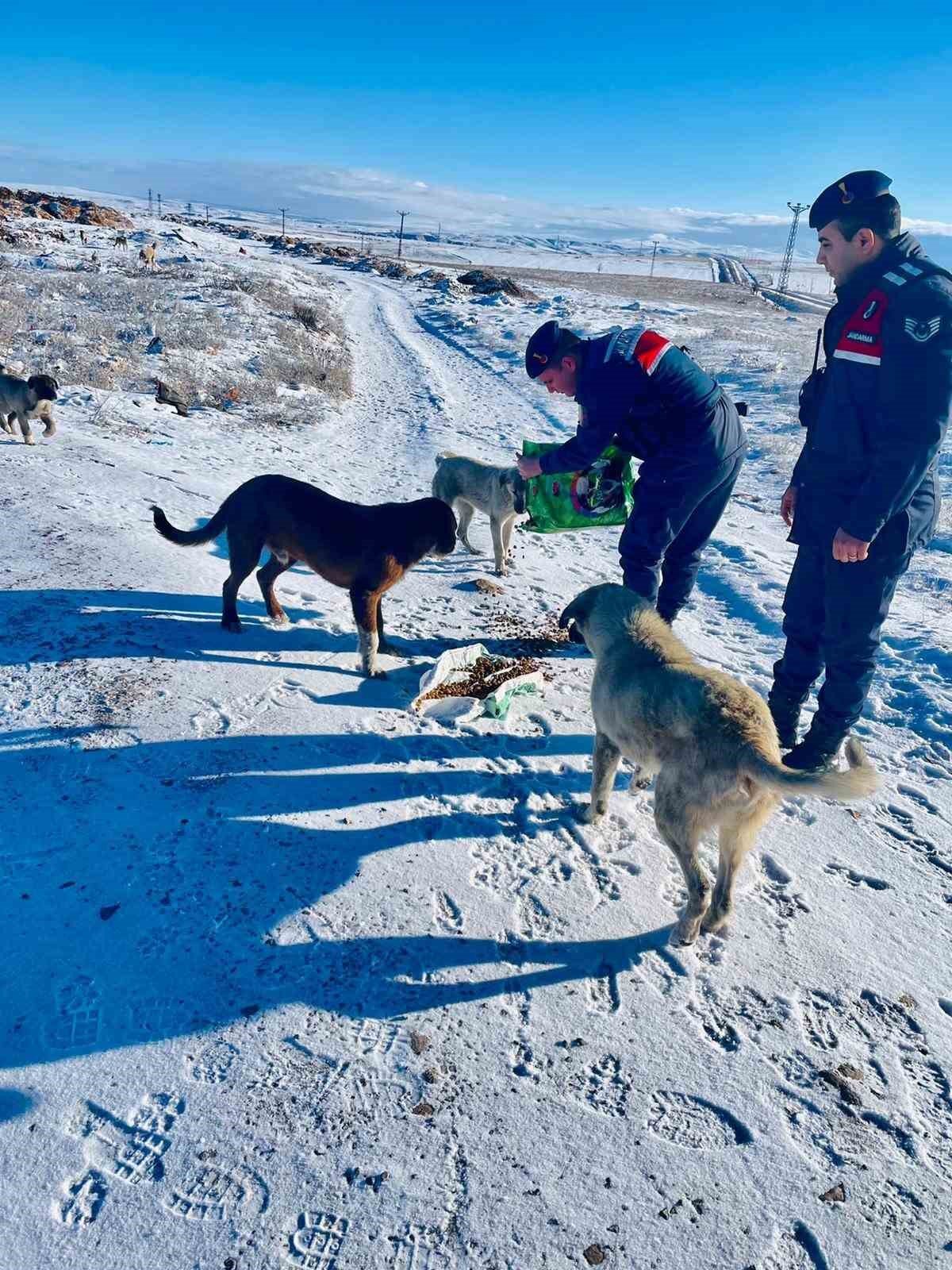 Jandarma, can dostlarını unutmadı