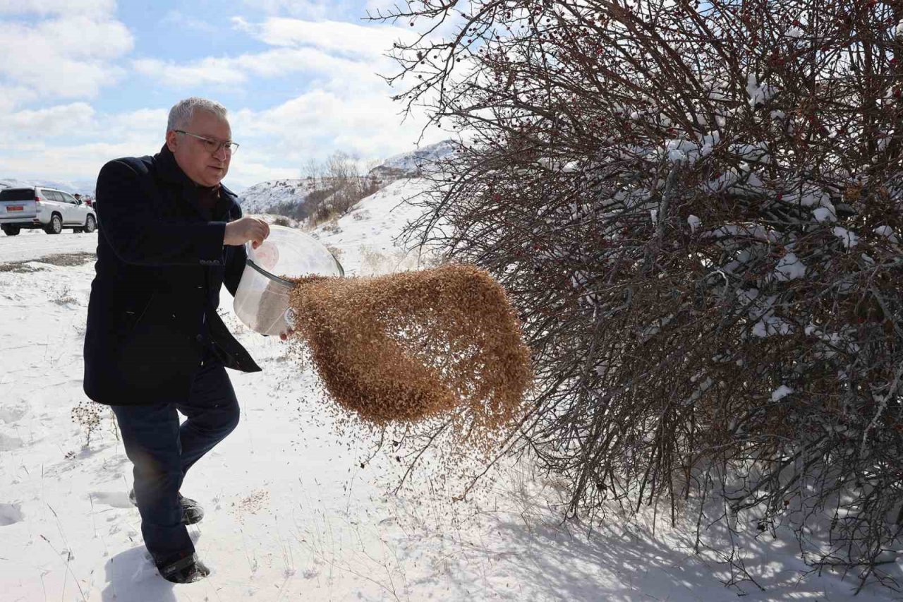 Kapanan köy yolları bir bir açılıyor